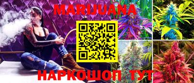 прущие крисы Краснокаменск