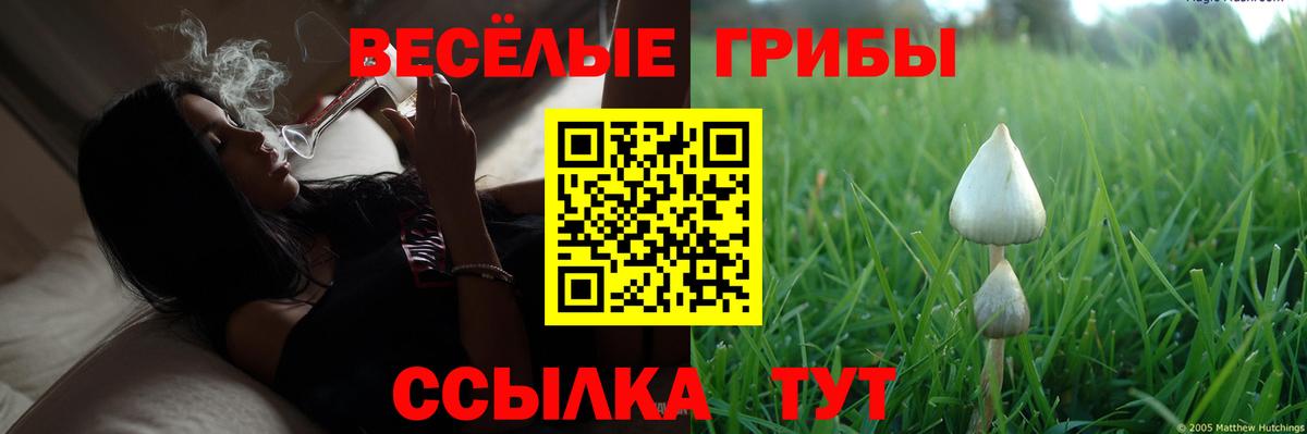 Ханты-Мансийск  Псилоцибиновые грибы Psilocybine cubensis  даркнет сайт  Псилоцибиновые грибы прущие грибы  Вход с VPN 